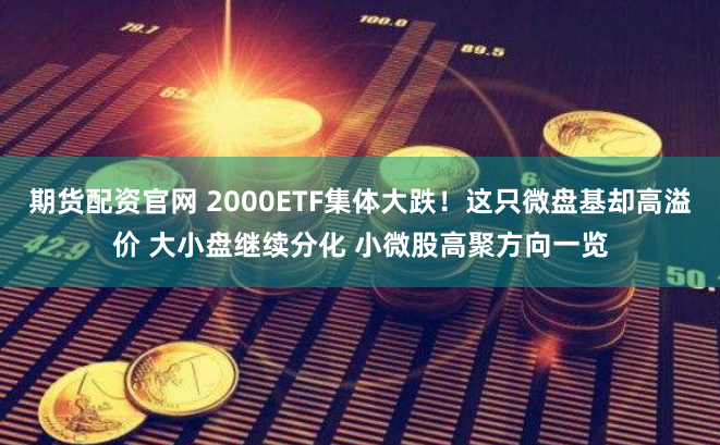 期货配资官网 2000ETF集体大跌！这只微盘基却高溢价 大小盘继续分化 小微股高聚方向一览