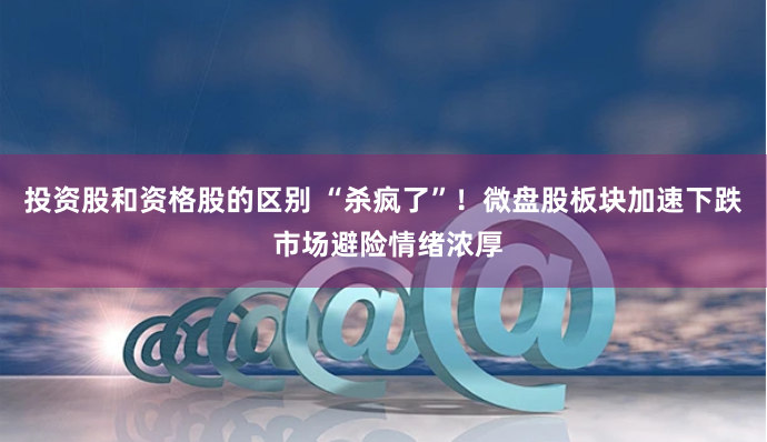 投资股和资格股的区别 “杀疯了”！微盘股板块加速下跌 市场避险情绪浓厚