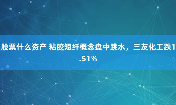 股票什么资产 粘胶短纤概念盘中跳水，三友化工跌1.51%