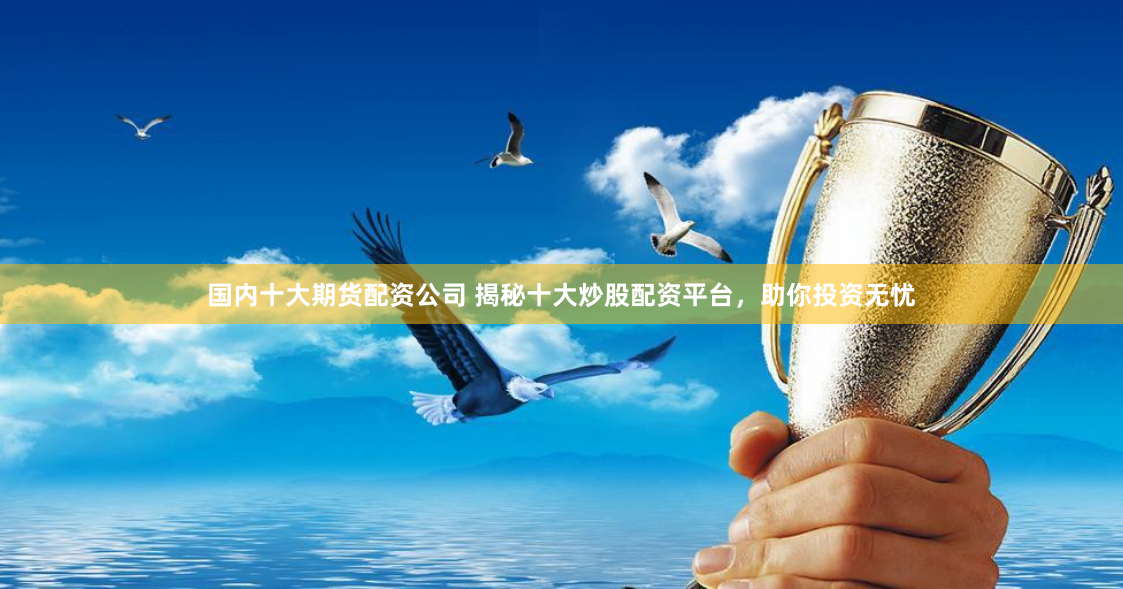 国内十大期货配资公司 揭秘十大炒股配资平台，助你投资无忧