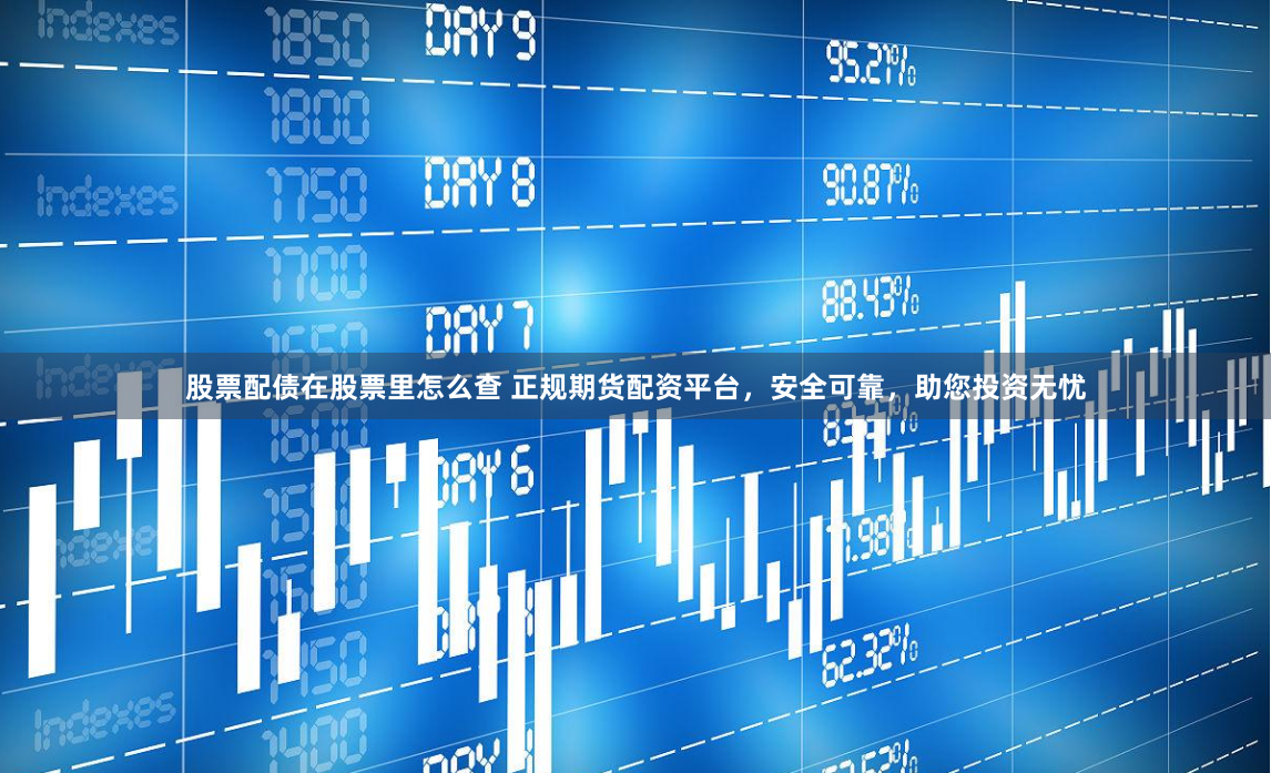 股票配债在股票里怎么查 正规期货配资平台，安全可靠，助您投资无忧