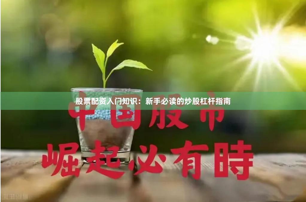 股票配资入门知识:新手必读的炒股杠杆指南
