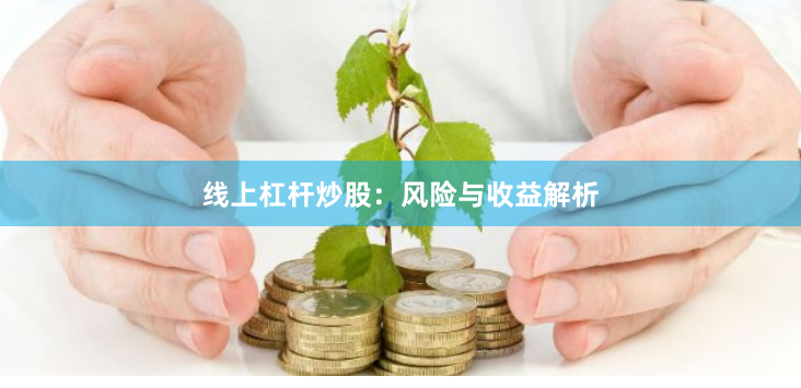 线上杠杆炒股：风险与收益解析